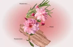By Far Daydream Of A Rose Garden Refill Bottle